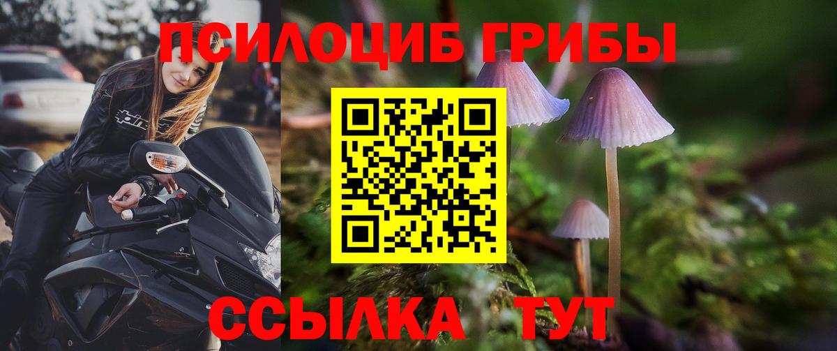 Галлюциногенные грибы мухоморы Среднеуральск